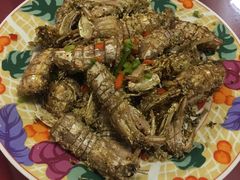 -小叶大馅饺子城