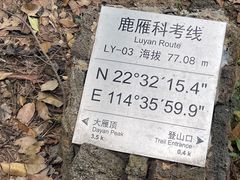 -杨梅坑