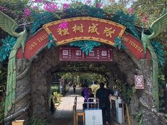 -独树成林