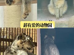 -青藏高原野生动物园