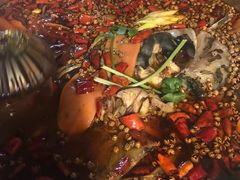 -味之绝热血美蛙鱼火锅(中坝店)