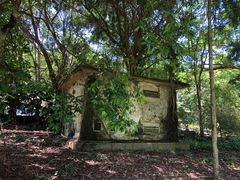 -武吉知马自然保护区