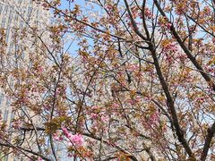 -西北湖绿化广场