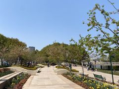 -新江湾城公园