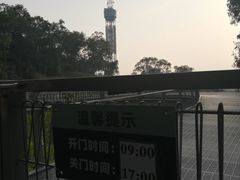 -广州雕塑公园