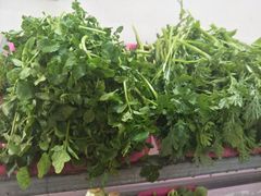 -15年老字号鑫鑫猪肚鸡·椰子鸡海南火锅(兴隆华侨农场店)