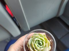 -星巴克(北京环球金融中心店)