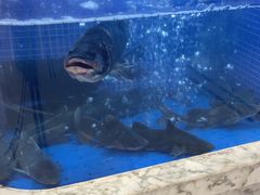 -香山湖渔家大院