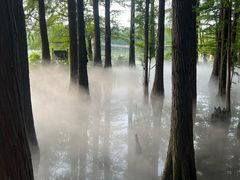 -东湖落雁景区