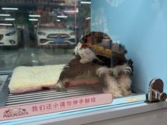 -FAELING PETS美天灵宠物(合生汇店)