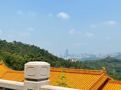 -深圳仙湖植物园