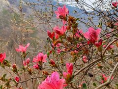 -木兰云雾山