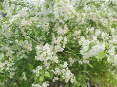 -陕西师范大学(雁塔校区)