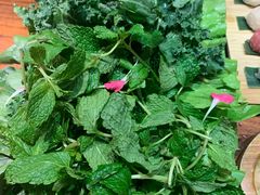 -慢丽江·云南野生菌土鸡锅(付家庄店)