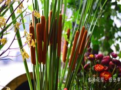 -杭州街角花屋花店(闻堰店)