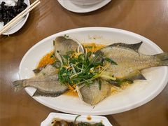 清蒸太阳鱼-大唐靓汤江门私房菜(景田店)