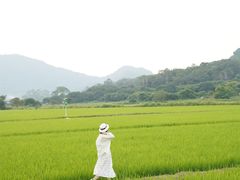 -艾米稻香小镇