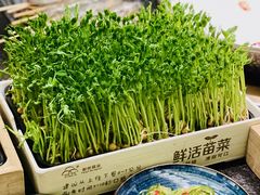 -湊湊火锅·茶憩(打浦桥日月光店)