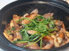 -花城苑广府菜(侨鑫店)