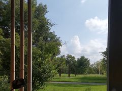 -三圣花乡旅游区