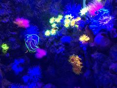 -成都浩海立方海洋公园