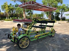 -上海滴水湖皇冠假日酒店