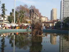 -赭山公园