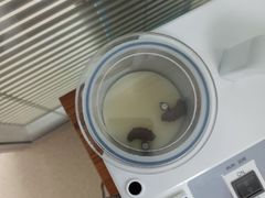 -自然之声助听器·呼吸机(翠微大厦店)