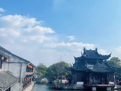 -鲁镇