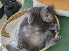 -酷宠动物医院(天通西苑店)