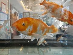 -玉雪春天(中正花园店)