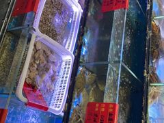 -金海湾海鲜排档(朱家尖店)