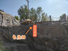 -石老人观光园