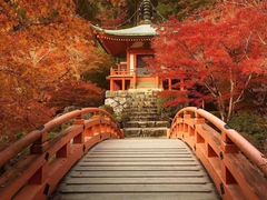 -醍醐寺