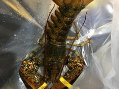 -盒马鲜生(顺义店)
