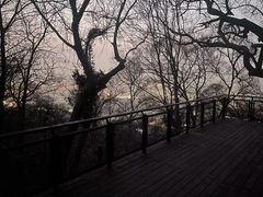 -紫金山山顶公园