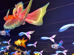 -珠海圆明新园
