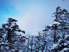 -秦岭风景区