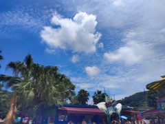 -重庆海昌加勒比海水世界