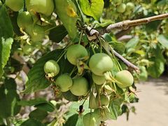 -元大都城垣遗址公园