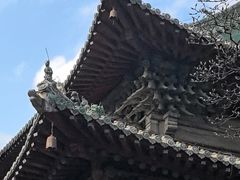 -报恩寺(平武县)