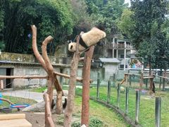 -重庆动物园·东二门售票处