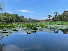 -承德避暑山庄景区