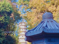 -灵谷景区