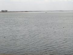 -白渔泡湿地公园