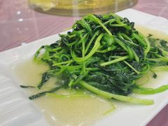 -伊帆食府·青海地方特色美食