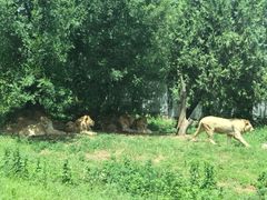 -西安秦岭野生动物园