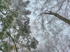 -秦岭风景区