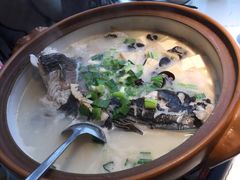 -姜君·千岛湖鱼头馆(浦东大道店)
