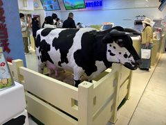 -红星前进面包牛奶公司(君太店)